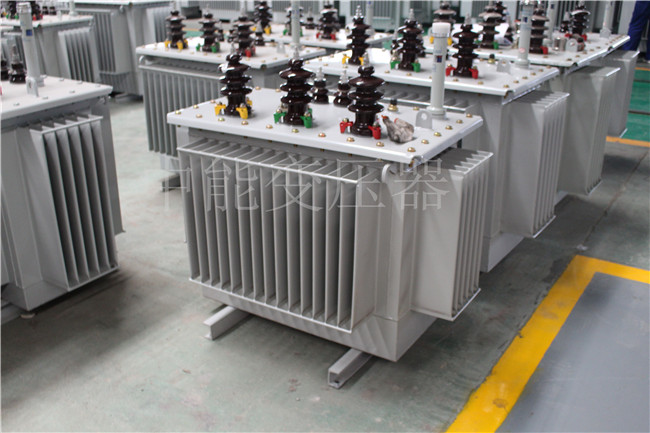 包头S22-250KVA/10KV变压器